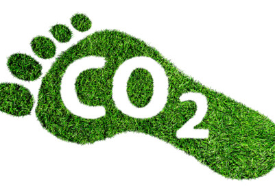 carbon footprint symbol, barefoot footprint made of lush green grass with text CO2