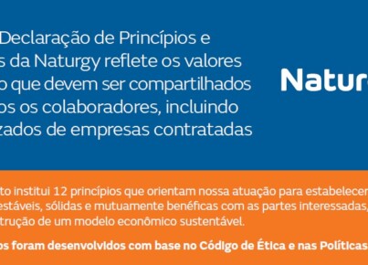 Declaração de Principios