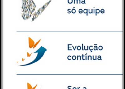 imagem (6)