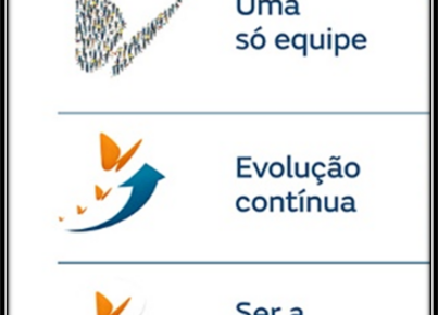 imagem (6)
